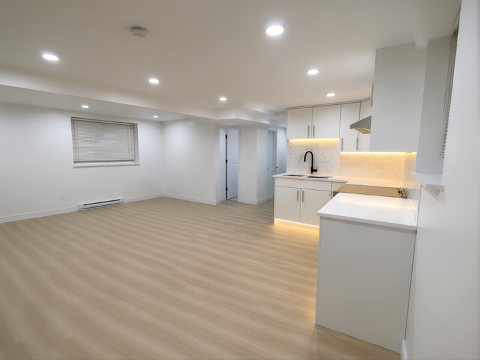 Basement Renovation